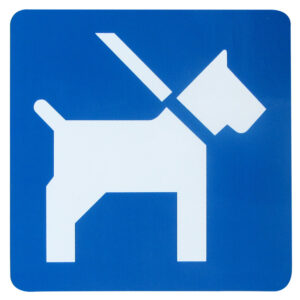 Sticker Honden aan de lijn 10 x 10 cm