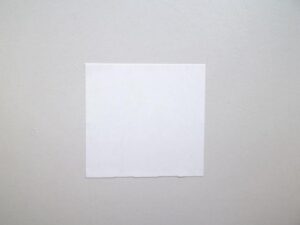 2928 rh wit afneembaar 700/rol