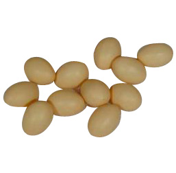 Kunststof Ei bruin (1x)