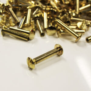 Busschroeven 10mm messing (100x)