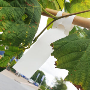 Sleufetiket 230x35mm wit (2000x)