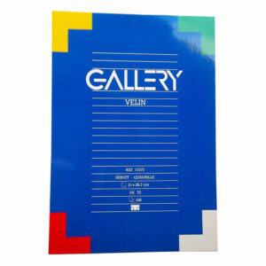 Schrijfblok A4 ruit 5mm Gallery 100v 70g