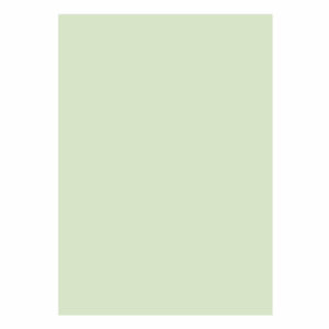 Papier A4 lichtgroen 80 gr/m², 500 vel