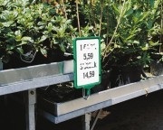 Plantcontainerhouder voor 1 raam