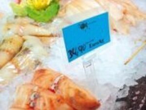 IJs kaarthouder met minikaarthouder