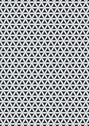 Cadeaupapier Geometry 30cm