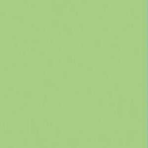 Papier A4 lichtgroen 120 gr/m²