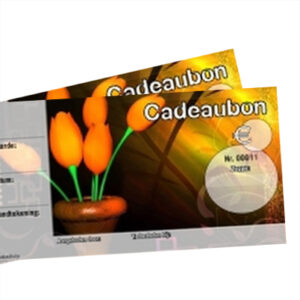 Cadeaubon 10x15cm oranje tulp met env.