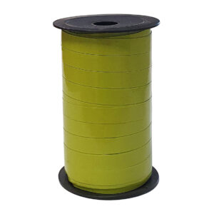Cadeaulint lak lichtgroen 10mm x50meter