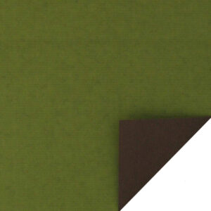 Cadeaupapier 50cm kraft groen zwart