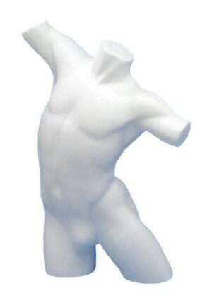 Torso heren staand wit