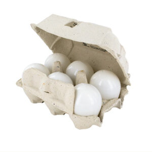 Kunststof Eieren wit in doosje van 6