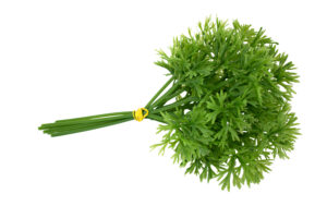 Kunststof Peterselietakje