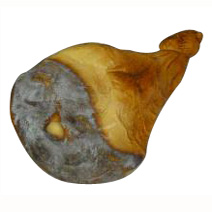 Kunststof Grote achterham 279x480mm