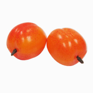 Kunststof Abrikoos, 2 stuks