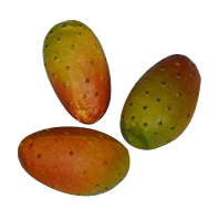 Kunststof Cactusvrucht 45x75mm (3x)