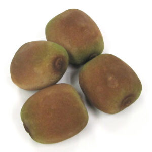 Kunststof Kiwi 65x70mm (2x)