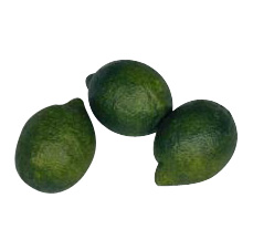Kunststof Limoen 60x80mm (3x)