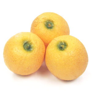 Kunststof Meloen klein (3x)