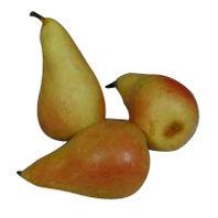 Kunststof Peer geel 65x120mm (3x)