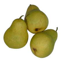 Kunststof Peer groen 65x95mm (3x)