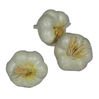 Kunststof Knoflook 70x50mm (3x)