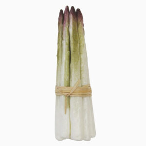 Kunststof Asperges rood 20x200mm (8x)