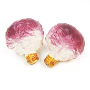 Kunststof Rode kool 130x120mm (2x)