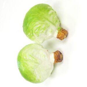 Kunststof Groene kool 130x120mm (2x)