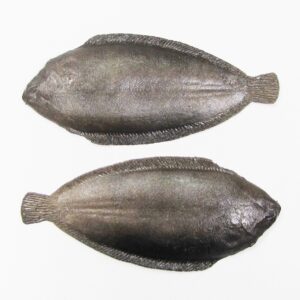 Kunststof Tong 279x120mm (2x)