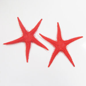 Kunststof Zeester rood 280mm (2x)