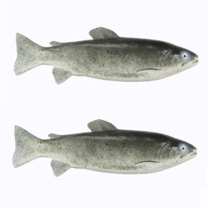 Kunststof Forel 330x90mm (2x)