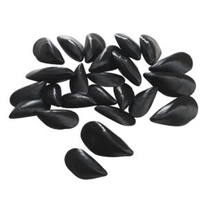 Kunststof Mosselen (24x)