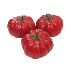 Kunststof Tomaat 80x75mm (3x)