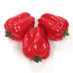 Kunststof Paprika rood 85x110mm (3x)