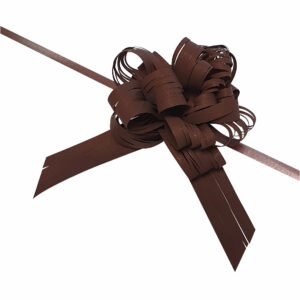 Trekstrik raffia 20mm bruin (20x)